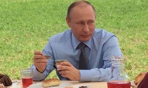 Путин позавтракал с комбайнерами йогуртом и морсом в полях Тверской области