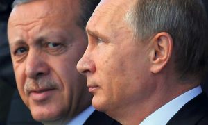 МИД Турции торопит личную встречу Путина с Эрдоганом