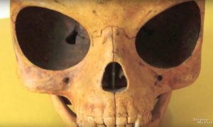 Загадочный череп внеземного происхождения обнаружили коммунальщики в Дании