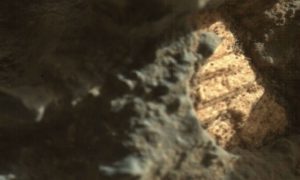 “Доказательство жизни” на Марсе в виде древних морских раковин обнаружил уфолог