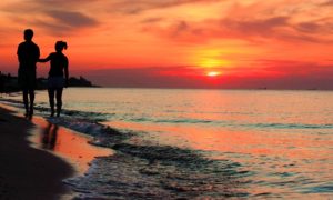 Россияне потребовали отменить запрет на ночное посещение пляжей в Сочи из-за романтики