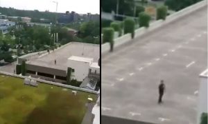 Очевидцы сняли на видео стрелка, убившего около 15 человек в ТЦ Мюнхена