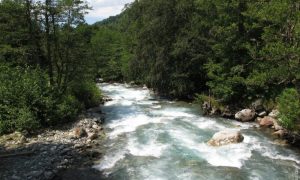 51-летний россиянин погиб в горах Абхазии во время туристического похода