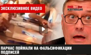 ПАРНАС назвал фальшивкой видеозапись подделки подписей