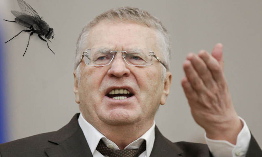 Жириновский рассмешил актив ЛДПР убийством мухи и требованием «дать сюда завхоза» 
