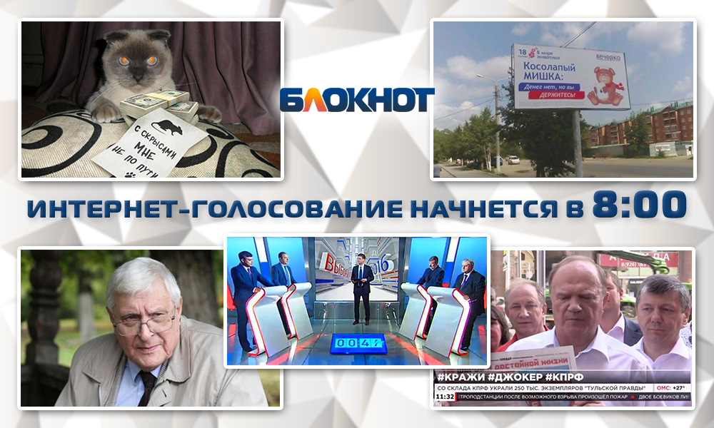 Заявление кота, кража газет и пародия на Медведева оживили предвыборную борьбу конца лета 