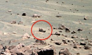 Башмак инопланетянина и мертвые тела обнаружил на Марсе уфолог