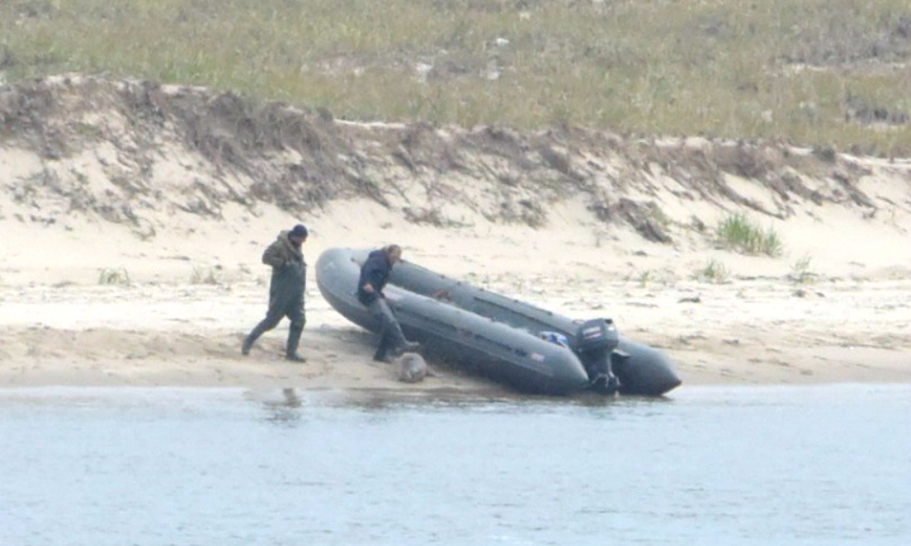 Фото избивавших тюленей сахалинских браконьеров попали в Сеть 