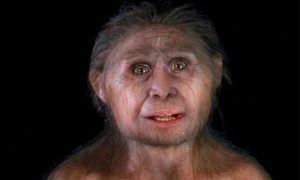 Ученые: Предки современных людей уничтожили «хоббитов» 50 тысяч лет назад