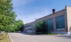 Коллекторы атаковали гимназию в Челябинске из-за долга бывшего мужа учительницы