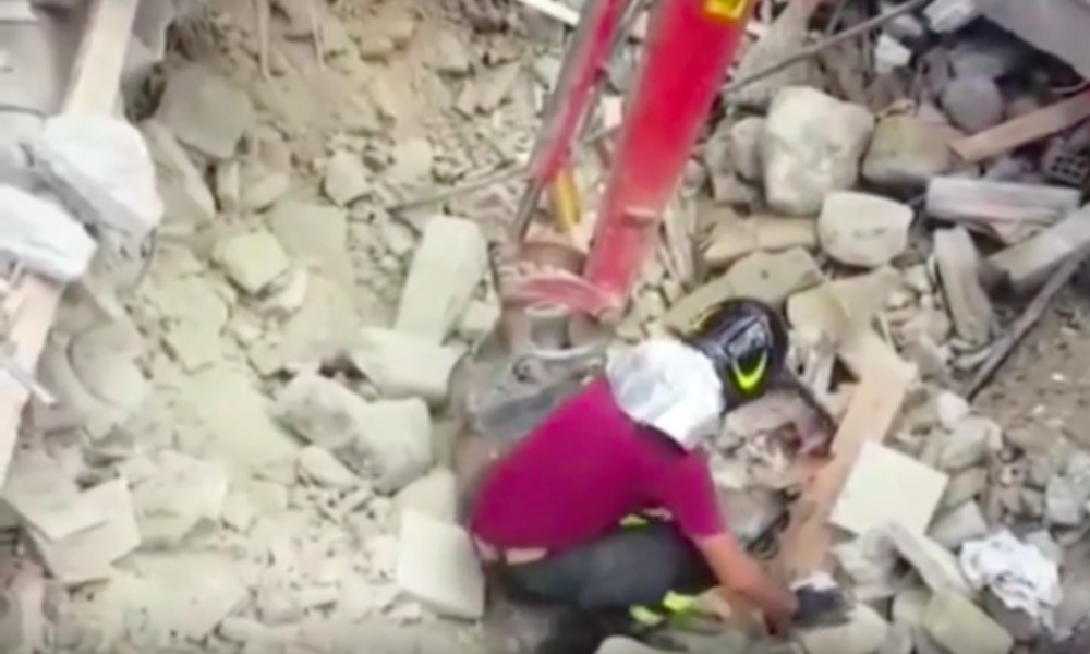 Трогательное спасение кота Пьетро из-под завалов в итальянском Аматриче попало на видео 