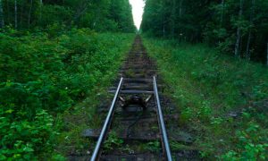 Разобравшего на металлолом два километра железной дороги мужчину задержали кемеровские полицейские