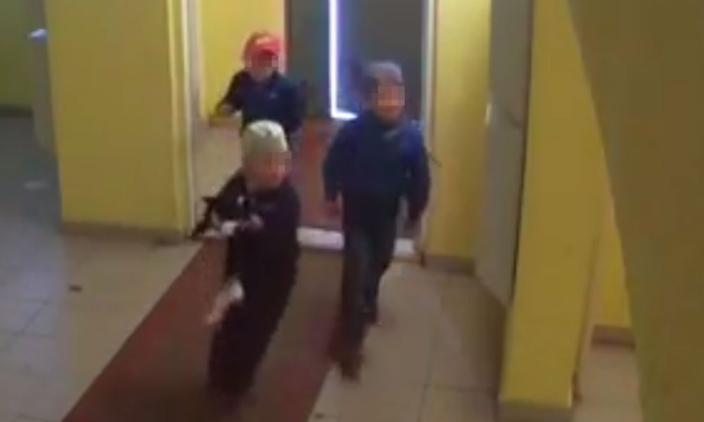 Дети-живодеры сбросили кошку с 17-го этажа в Башкирии и попали на видео 