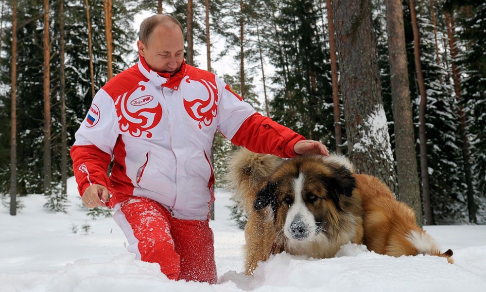 Путин призвал законодательно решить вопрос жестокого и бесчеловечного обращения с животными 