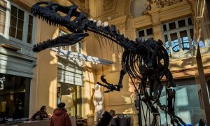 Миллион евро отдал состоятельный француз за останки динозавра