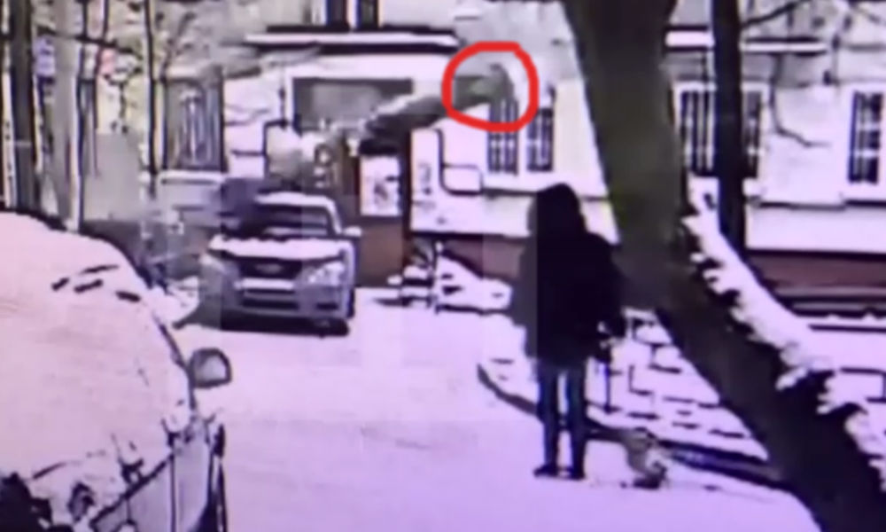 Смерть девушки от упавшего обледеневшего дерева сняли на видео в Москве 