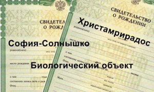 В Госдуме сделали первый шаг к запрету родителям называть детей нелепыми именами в России