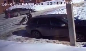 Шокирующее видео: в Уфе сорвавшаяся с цепи собака напала на двух детей