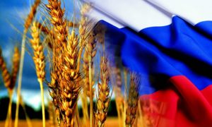Турция отменила беспошлинный ввоз для пшеницы из России
