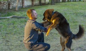 В соцсетях сообщили о гибели российского солдата из Оренбургской области в Сирии