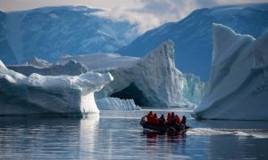 Британские ученые назвали время превращения Антарктиды в зеленый континент