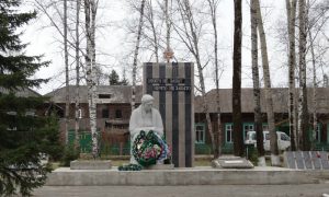 Студент из Красноярского края разрисовал свастикой мемориал «Скорбящая мать»