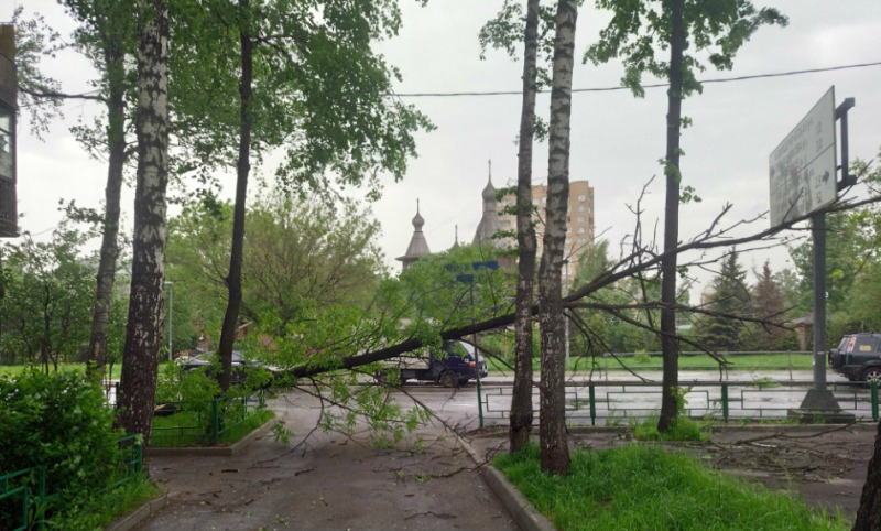В МЧС объяснили отсутствие предупреждения об урагане в Москве прогнозом Гидрометцентра 
