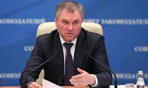 Володин предложил включить в закон очередь для хрущевок