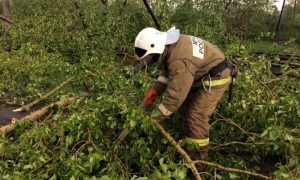 В МЧС предложили 