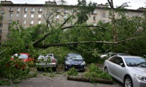 Пострадавший при урагане ребенок из Подмосковья скончался в больнице