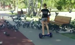 Девочку развеселил ее наезд на гироскутере на голубя в Казани