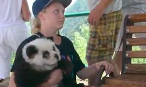 Желающим сделать фото на память в Сочи подсунули собаку под видом панды