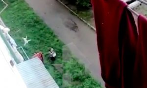 Опубликовано видео чудесного спасения выпавшего с 5-го этажа малыша во Владивостоке
