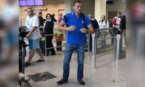 Навальному надели венок из сарделек на шею в аэропорту Домодедово