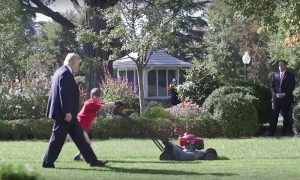 Трамп разрешил мальчику постричь газон у Белого дома