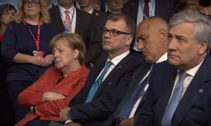 Монотонная речь Кальюлайд утомила Меркель, и та прилюдно уснула