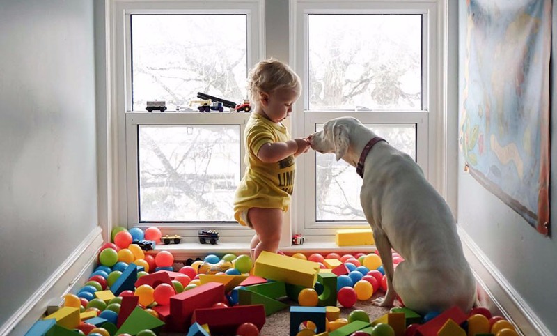 Дружба двухлетнего малыша с собакой из приюта стала хитом Интернета 