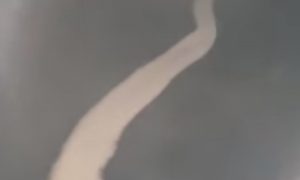 Необычная белая змея в небе напугала жителей Японии