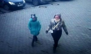 В Барнауле 12-летняя девочка грабила квартиры с помощью хомяка
