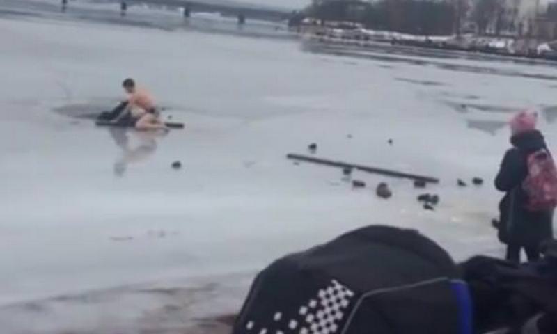 Житель Карелии спас провалившуюся под лед Ладоги собаку 