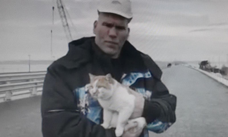 Валуев с котом проинспектировали Крымский мост 