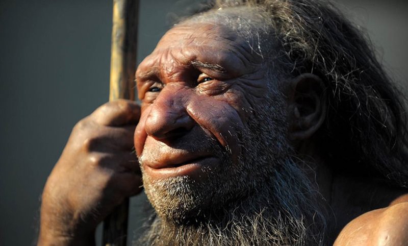 Календарь: 4 февраля - Миру был явлен неандерталец 