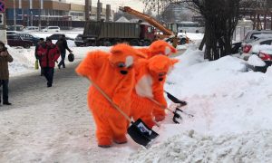 Коты спасают Москву от снега