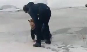 Подростки спасли малыша, провалившегося под лед в Томске