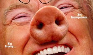 Не шутка: американский журнал представил Трампа свиньей
