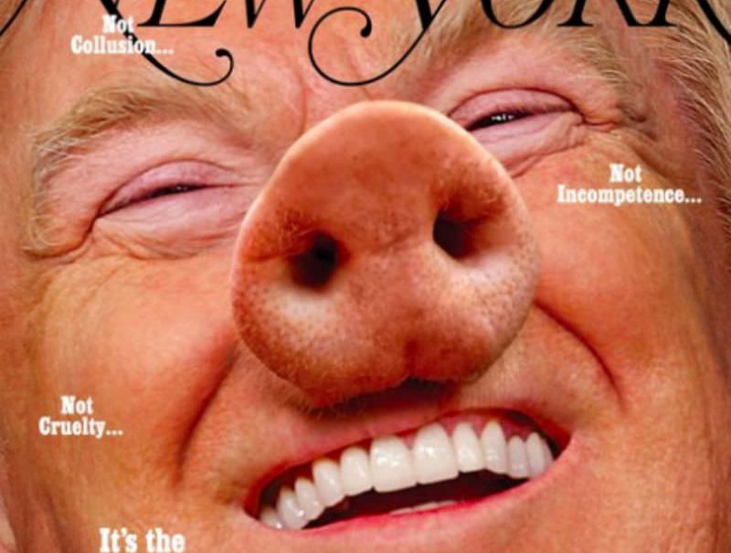 Не шутка: американский журнал представил Трампа свиньей 