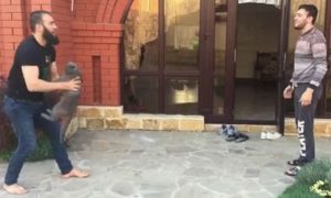 Кадыров заступился за бросавшего кота чемпиона России по самбо