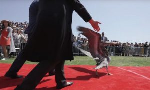 Пеликаны сорвали церемонию вручения дипломов выпускникам
