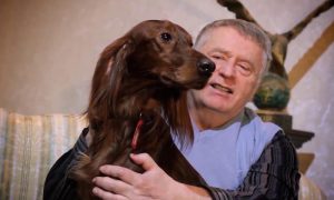 Жириновский выгоняет из ЛДПР депутатов с собаками