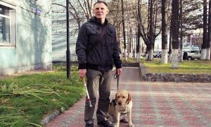 На Камчатке инвалида не пустили в кафе из-за собаки-поводыря
